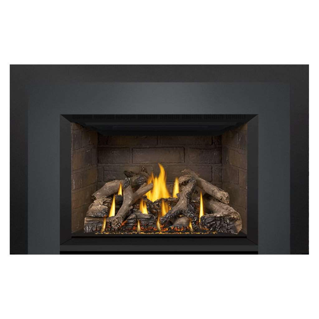Napoleon GDIX4N-1 Oakville Series Electronic Ignition Direct Vent Gas Fireplace Insert