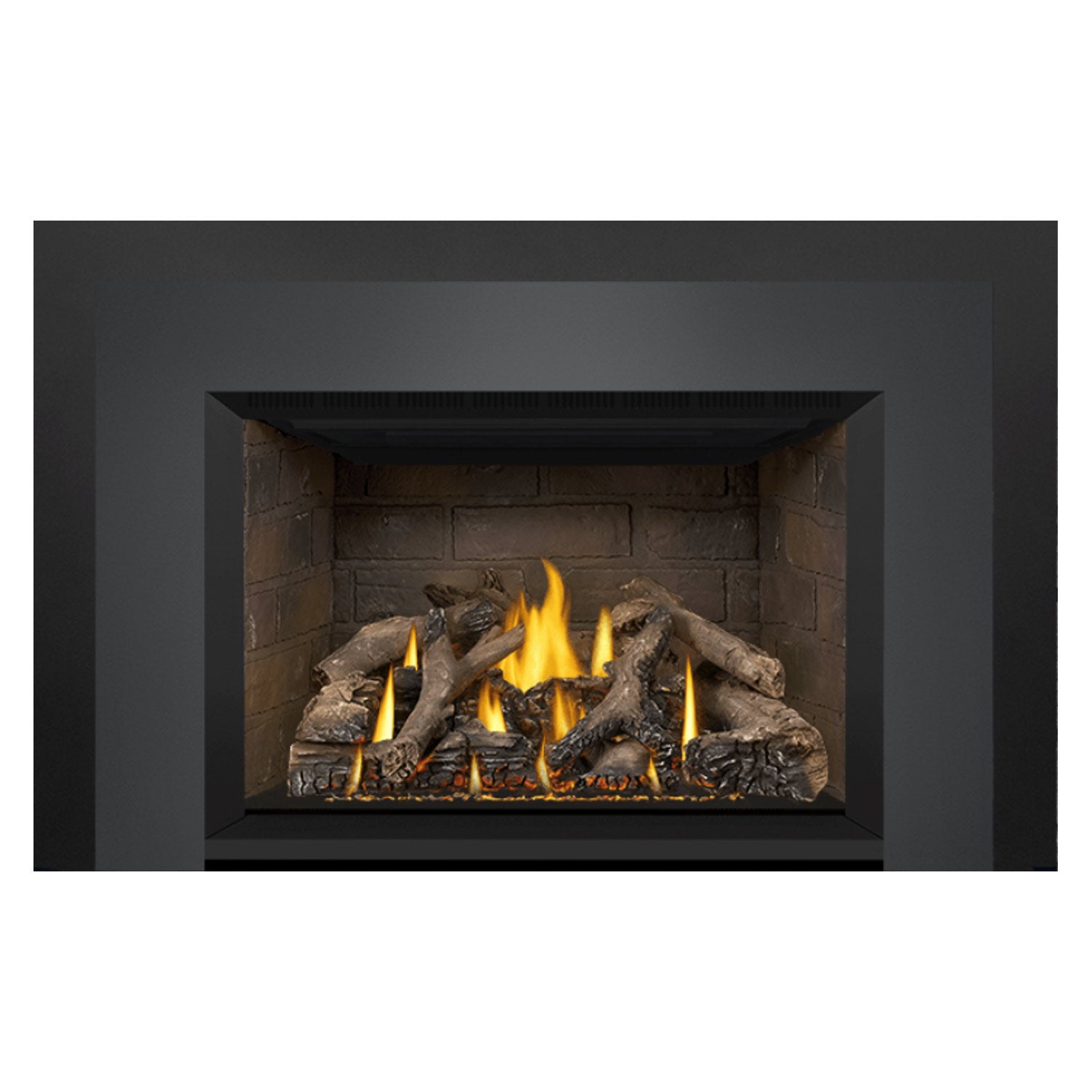Napoleon GDIX4N-1 Oakville Series Electronic Ignition Direct Vent Gas Fireplace Insert