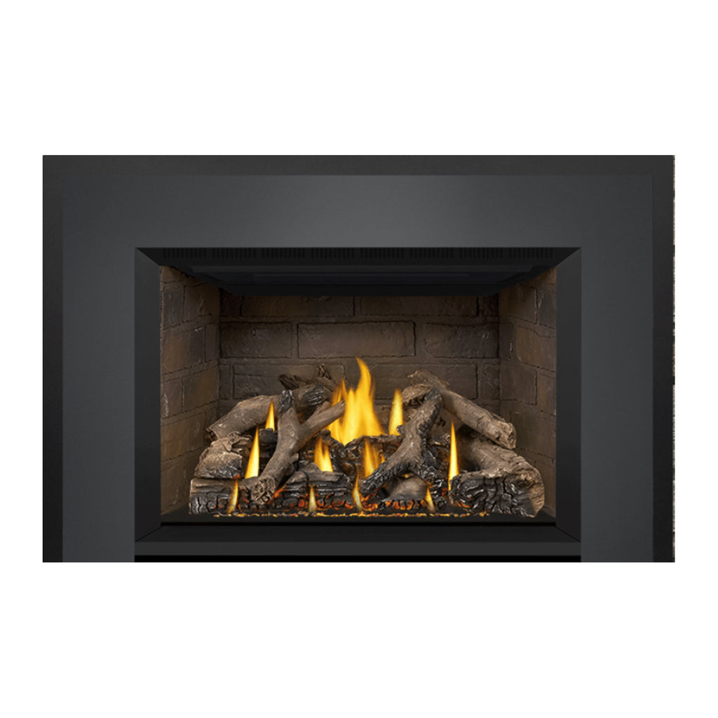 Napoleon GDIX4N-1 Oakville Series Electronic Ignition Direct Vent Gas Fireplace Insert