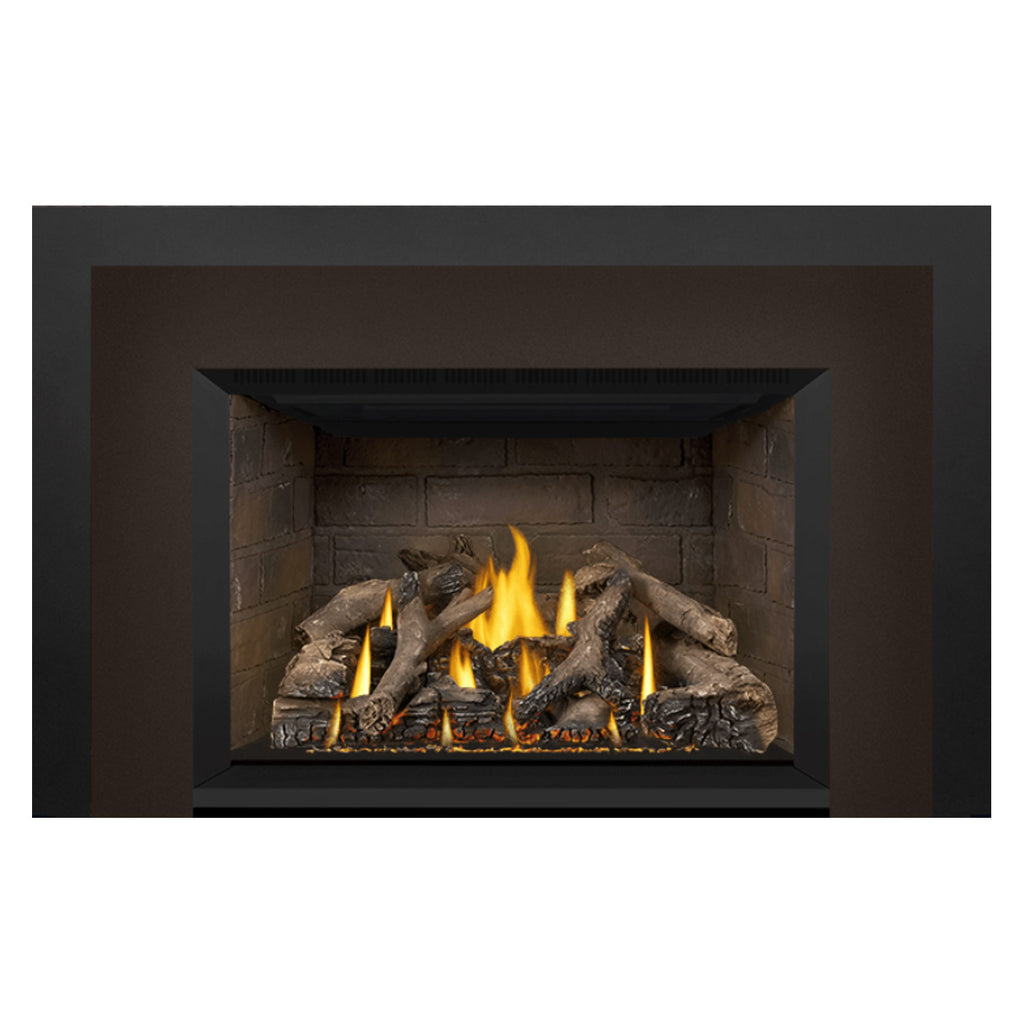 Napoleon GDIX4N-1 Oakville Series Electronic Ignition Direct Vent Gas Fireplace Insert