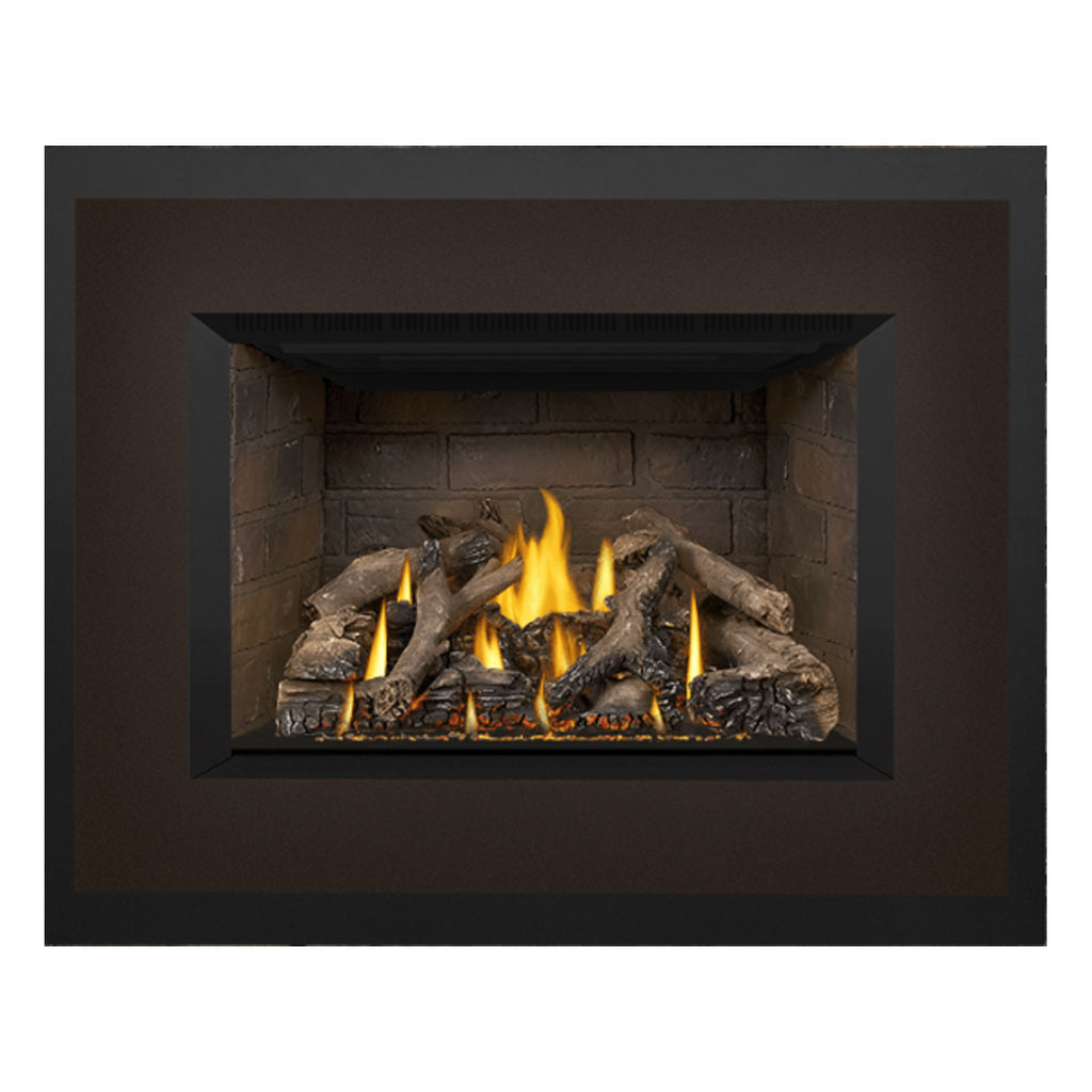 Napoleon GDIX4N-1 Oakville Series Electronic Ignition Direct Vent Gas Fireplace Insert