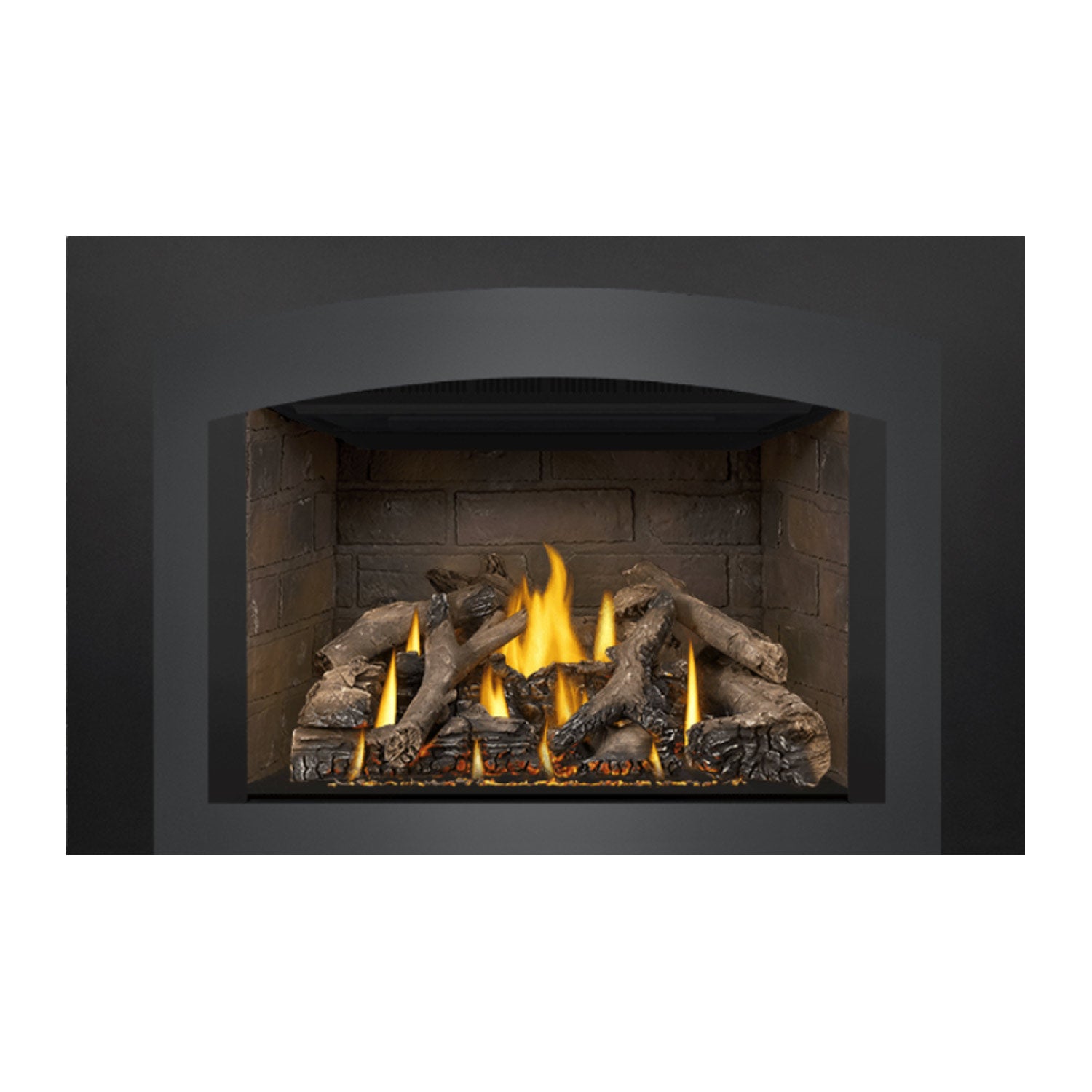 Napoleon GDIX4N-1 Oakville Series Electronic Ignition Direct Vent Gas Fireplace Insert