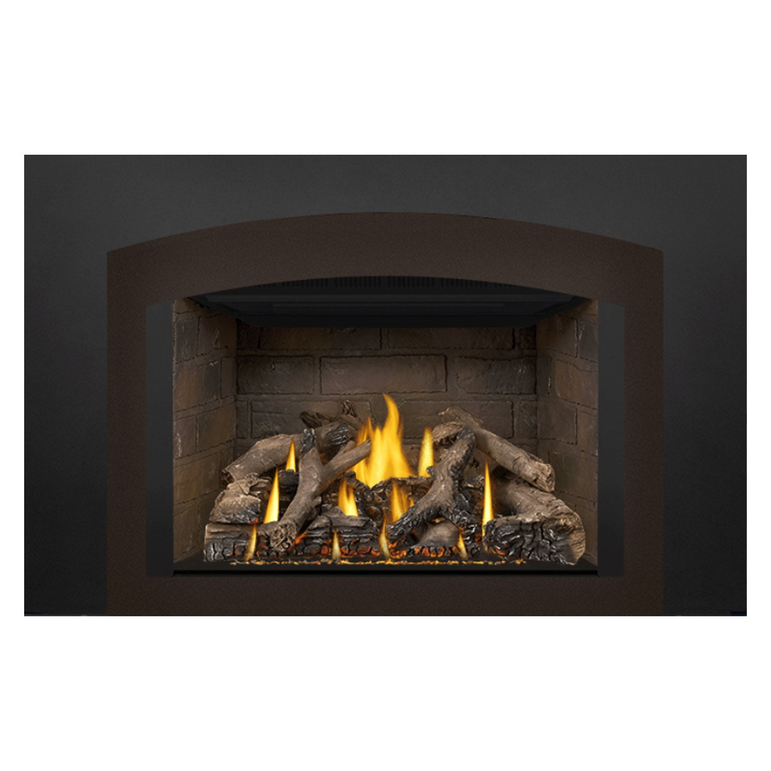 Napoleon GDIX4N-1 Oakville Series Electronic Ignition Direct Vent Gas Fireplace Insert
