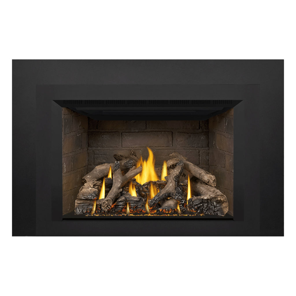Napoleon GDIX4N-1 Oakville Series Electronic Ignition Direct Vent Gas Fireplace Insert