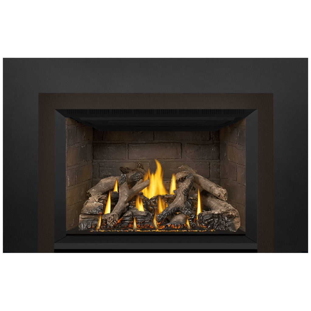 Napoleon GDIX4N-1 Oakville Series Electronic Ignition Direct Vent Gas Fireplace Insert