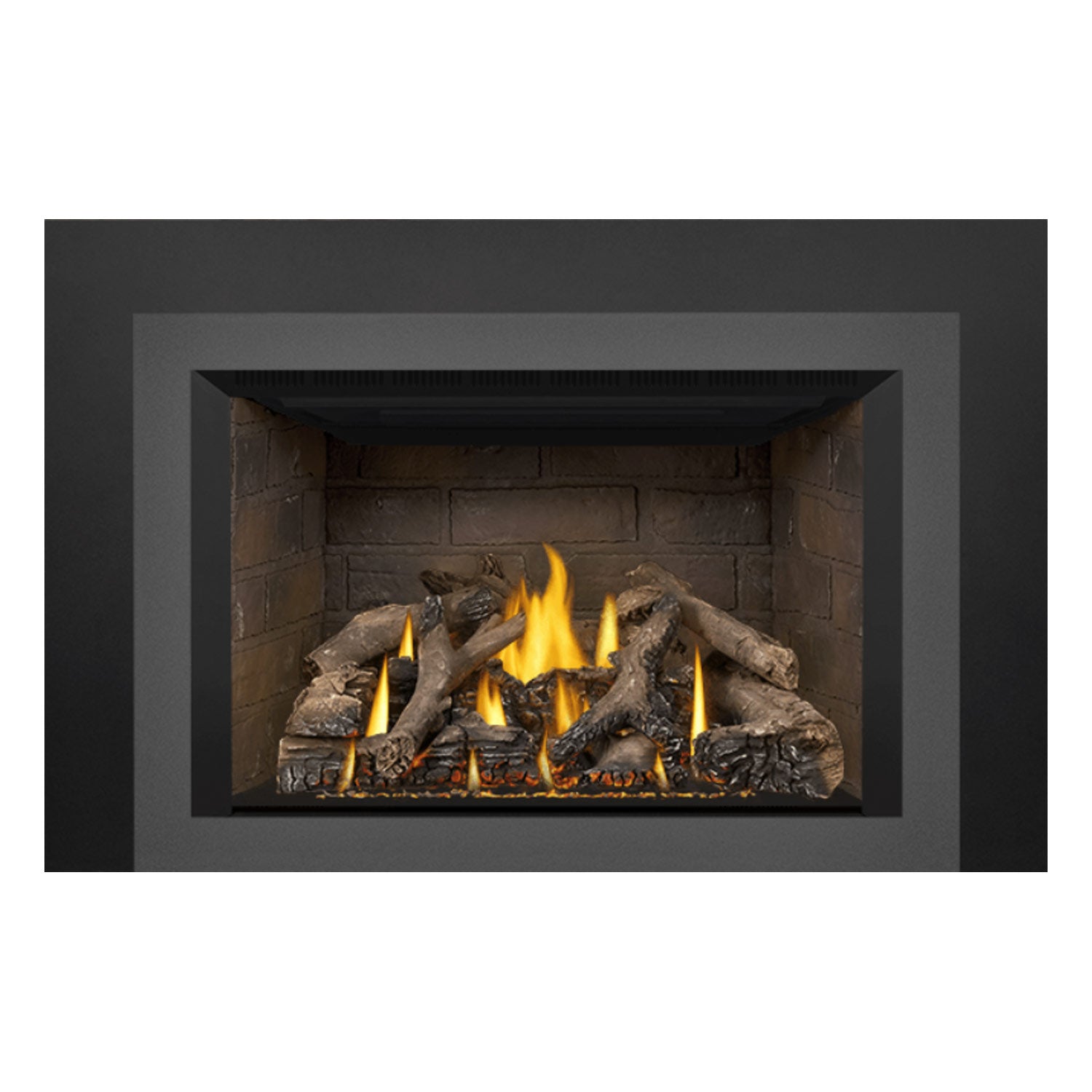 Napoleon GDIX4N-1 Oakville Series Electronic Ignition Direct Vent Gas Fireplace Insert