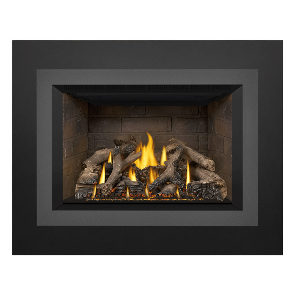 Napoleon GDIX4N-1 Oakville Series Electronic Ignition Direct Vent Gas Fireplace Insert