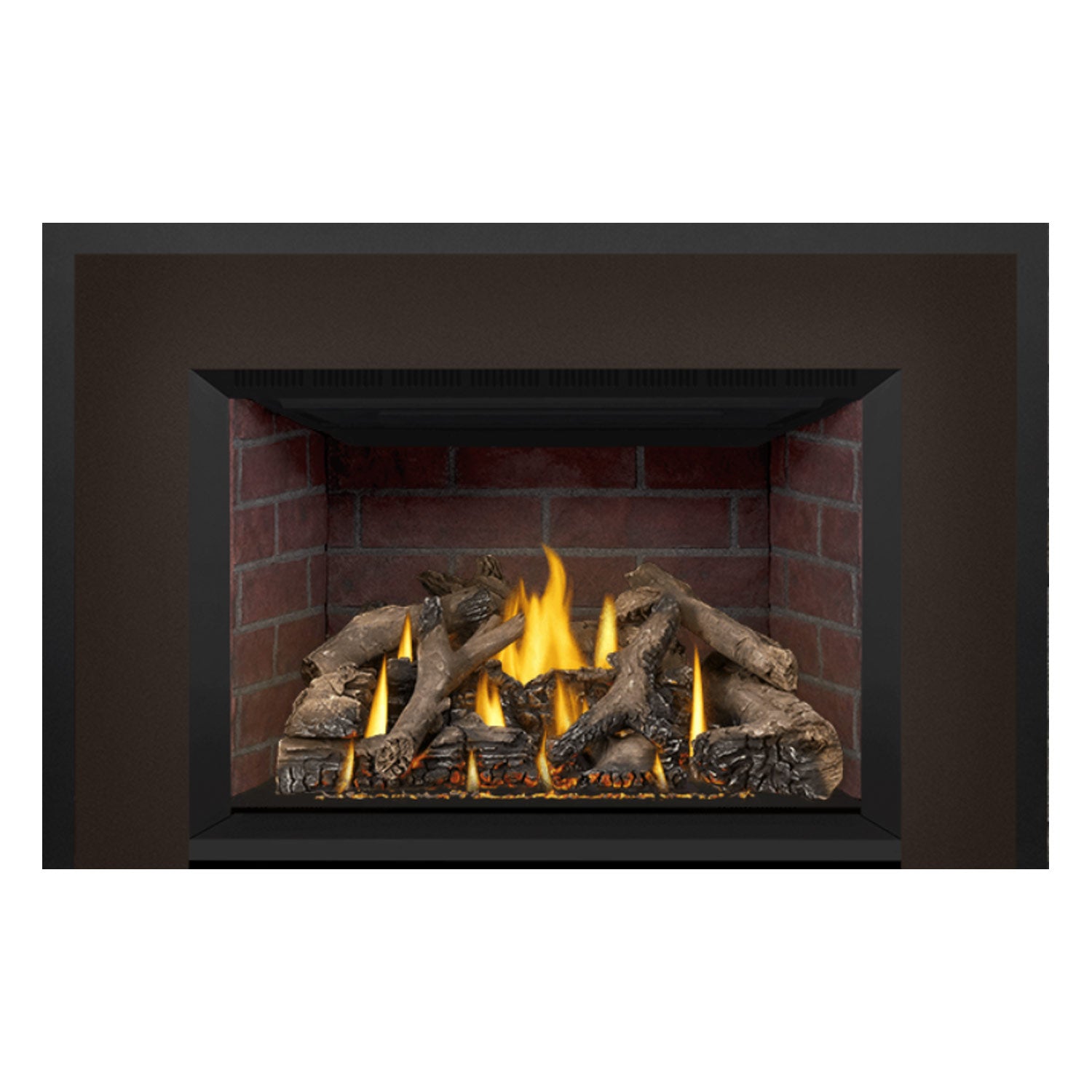 Napoleon GDIX4N-1 Oakville Series Electronic Ignition Direct Vent Gas Fireplace Insert
