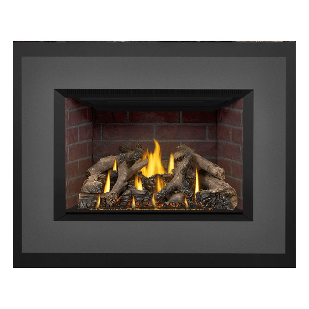 Napoleon GDIX4N-1 Oakville Series Electronic Ignition Direct Vent Gas Fireplace Insert