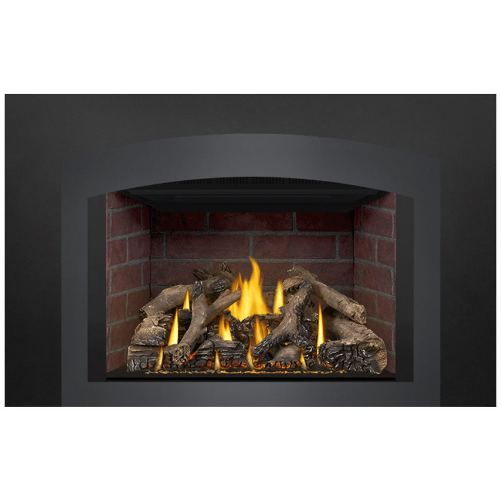 Napoleon GDIX4N-1 Oakville Series Electronic Ignition Direct Vent Gas Fireplace Insert