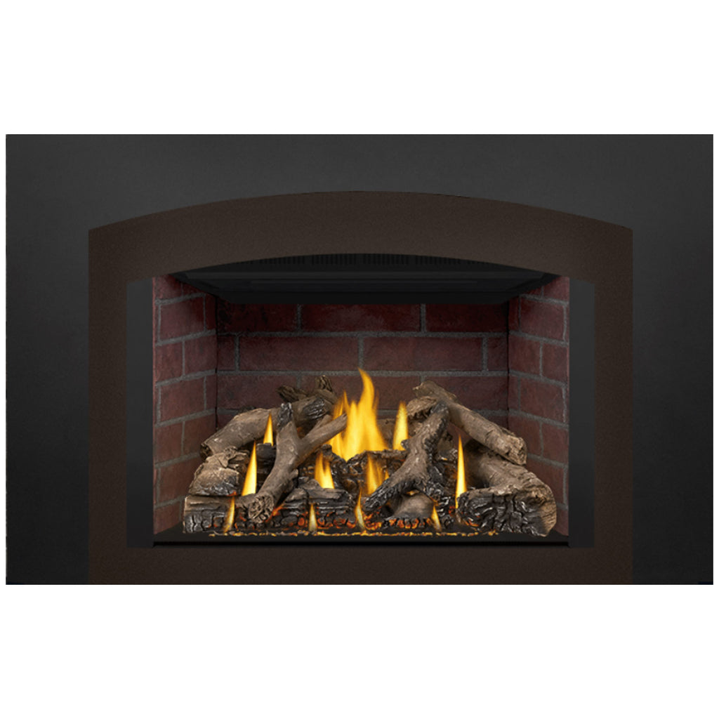 Napoleon GDIX4N-1 Oakville Series Electronic Ignition Direct Vent Gas Fireplace Insert