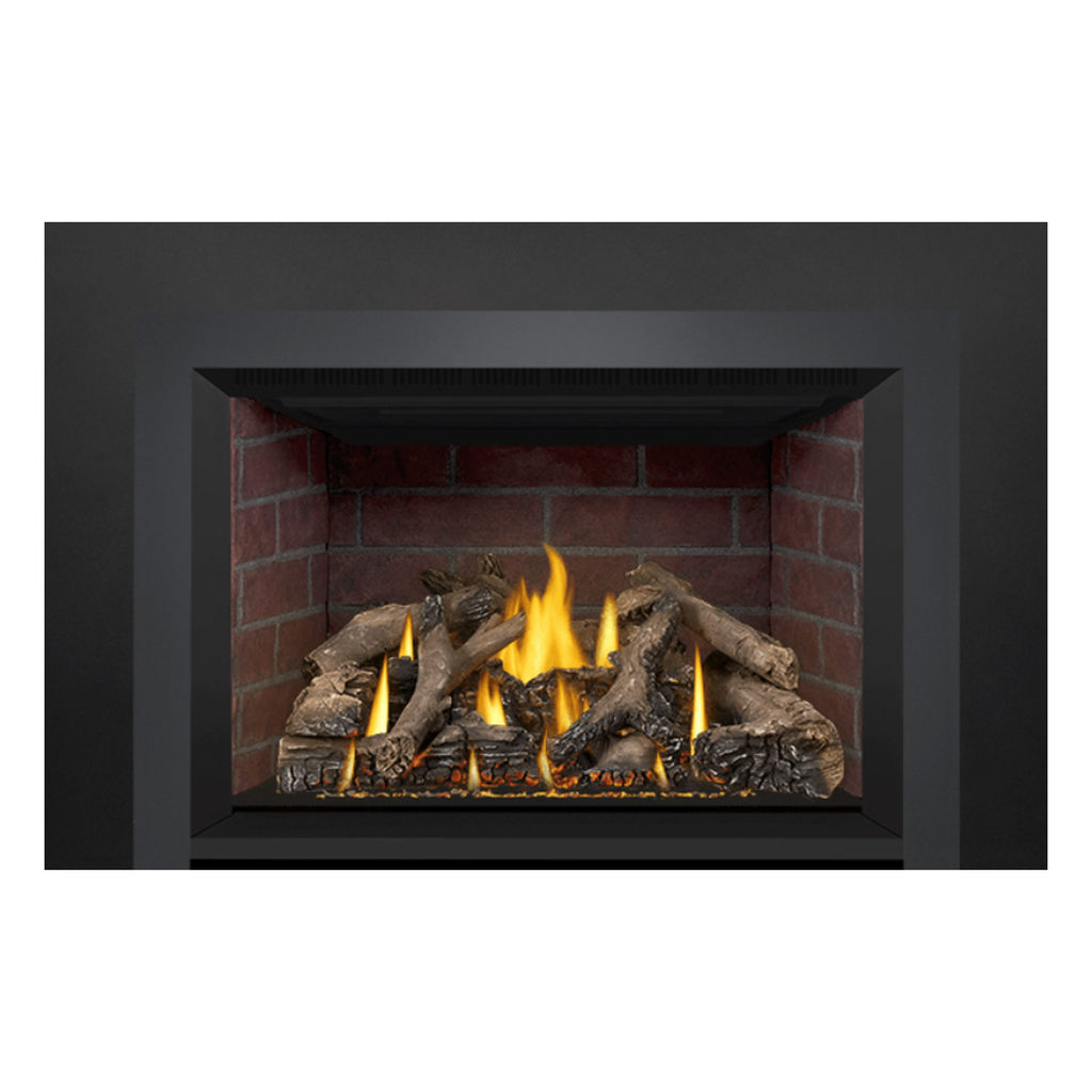 Napoleon GDIX4N-1 Oakville Series Electronic Ignition Direct Vent Gas Fireplace Insert