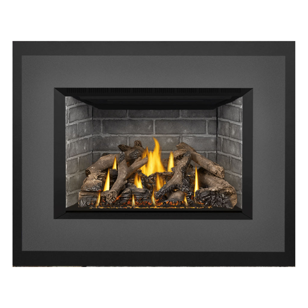 Napoleon GDIX4N-1 Oakville Series Electronic Ignition Direct Vent Gas Fireplace Insert