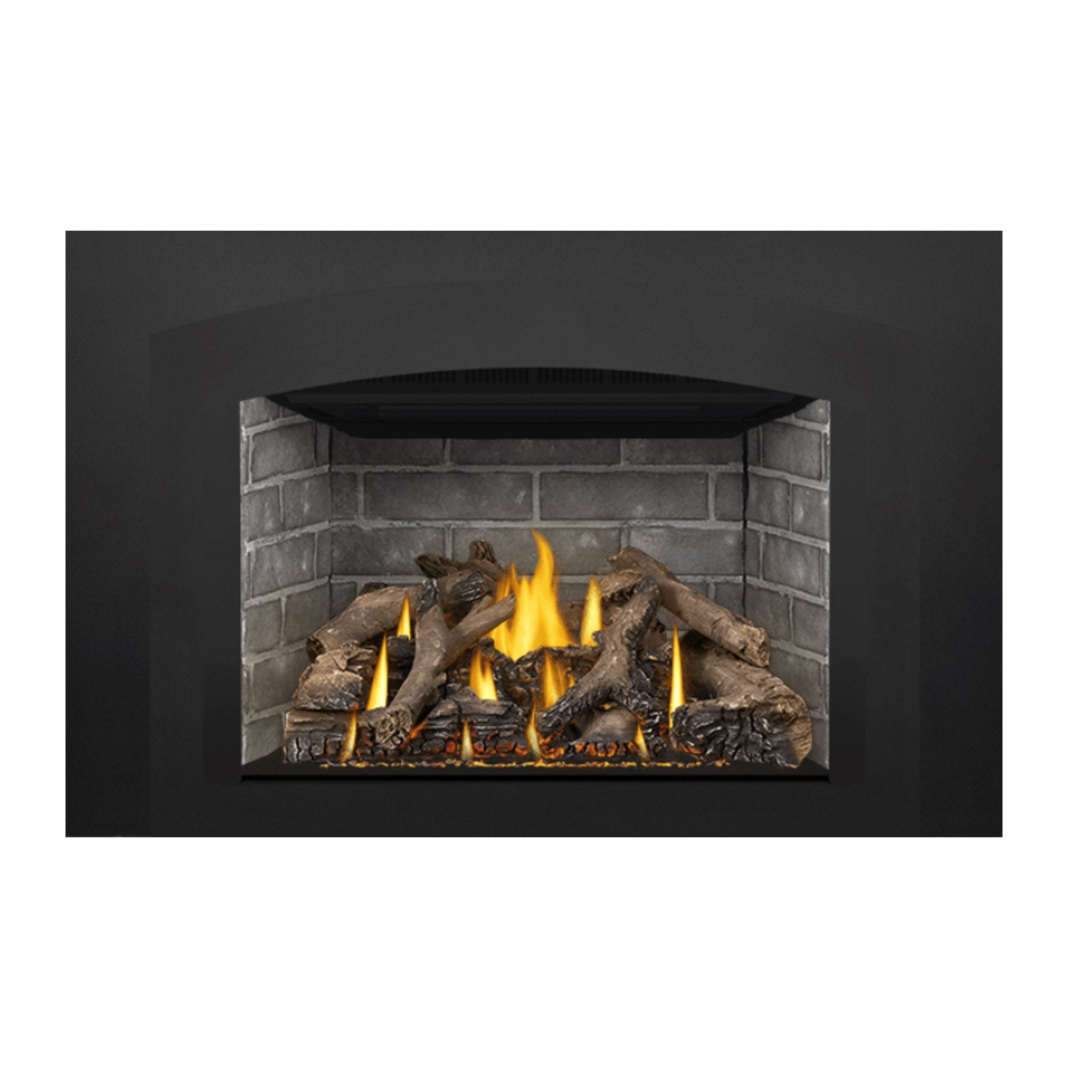 Napoleon GDIX4N-1 Oakville Series Electronic Ignition Direct Vent Gas Fireplace Insert