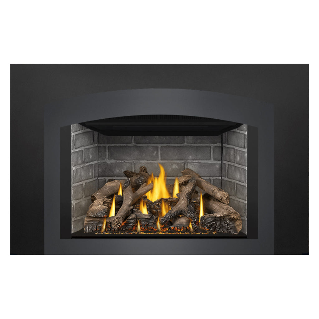Napoleon GDIX4N-1 Oakville Series Electronic Ignition Direct Vent Gas Fireplace Insert