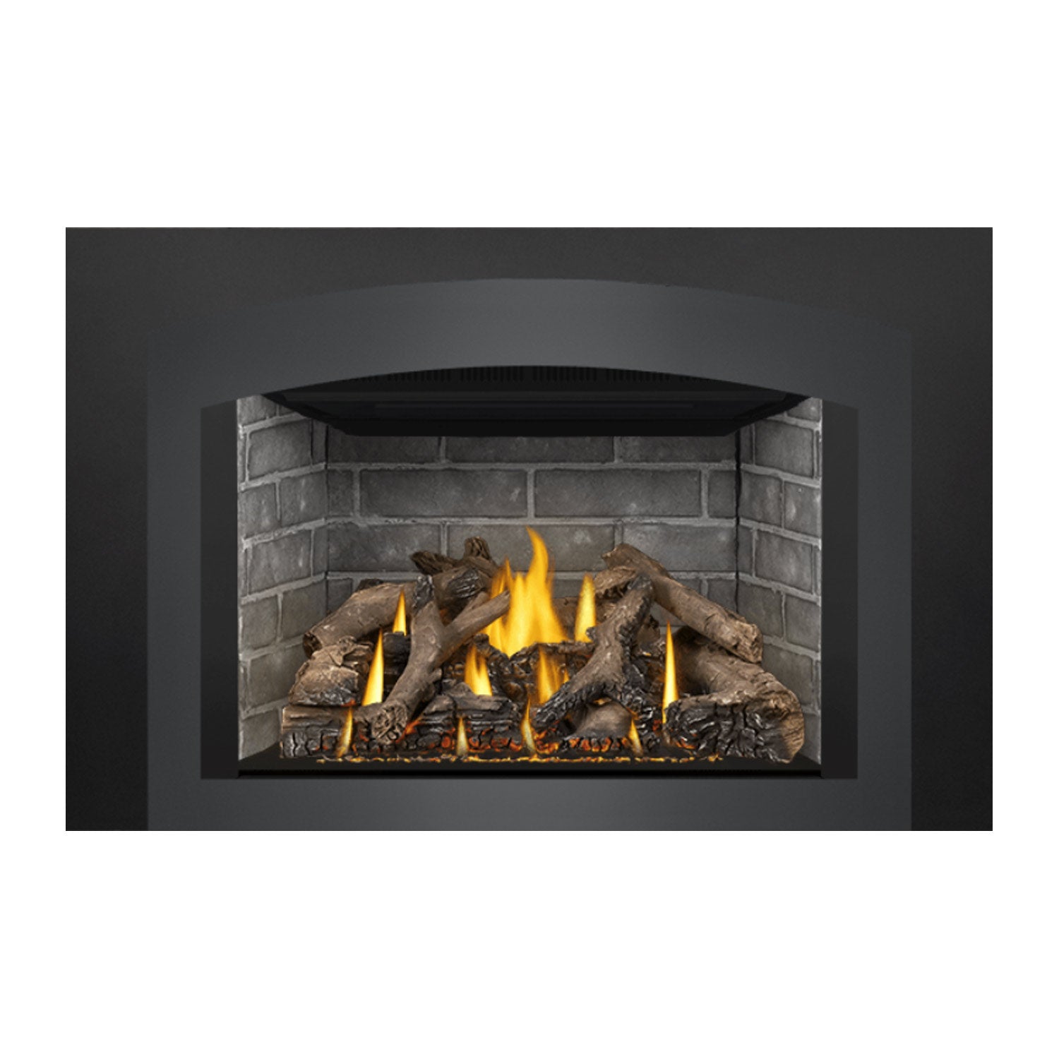 Napoleon GDIX4N-1 Oakville Series Electronic Ignition Direct Vent Gas Fireplace Insert