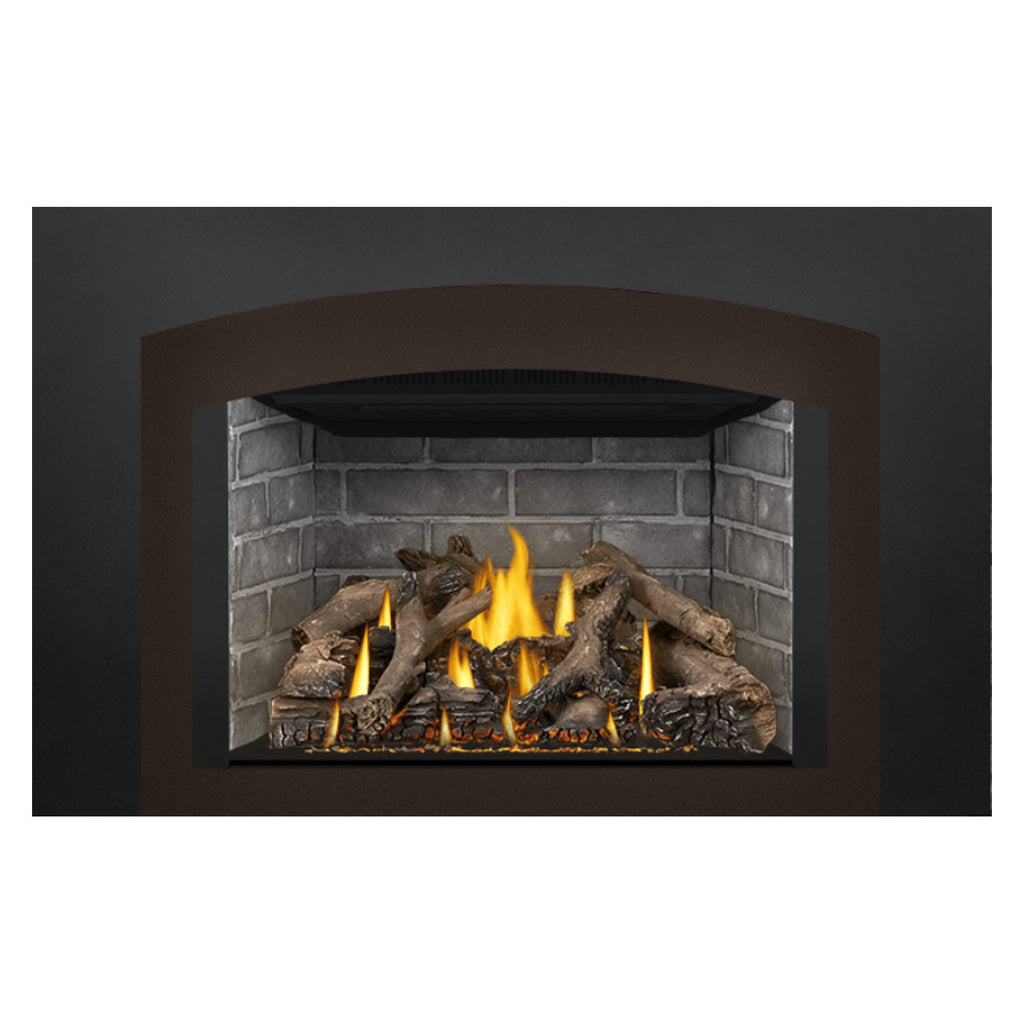 Napoleon GDIX4N-1 Oakville Series Electronic Ignition Direct Vent Gas Fireplace Insert