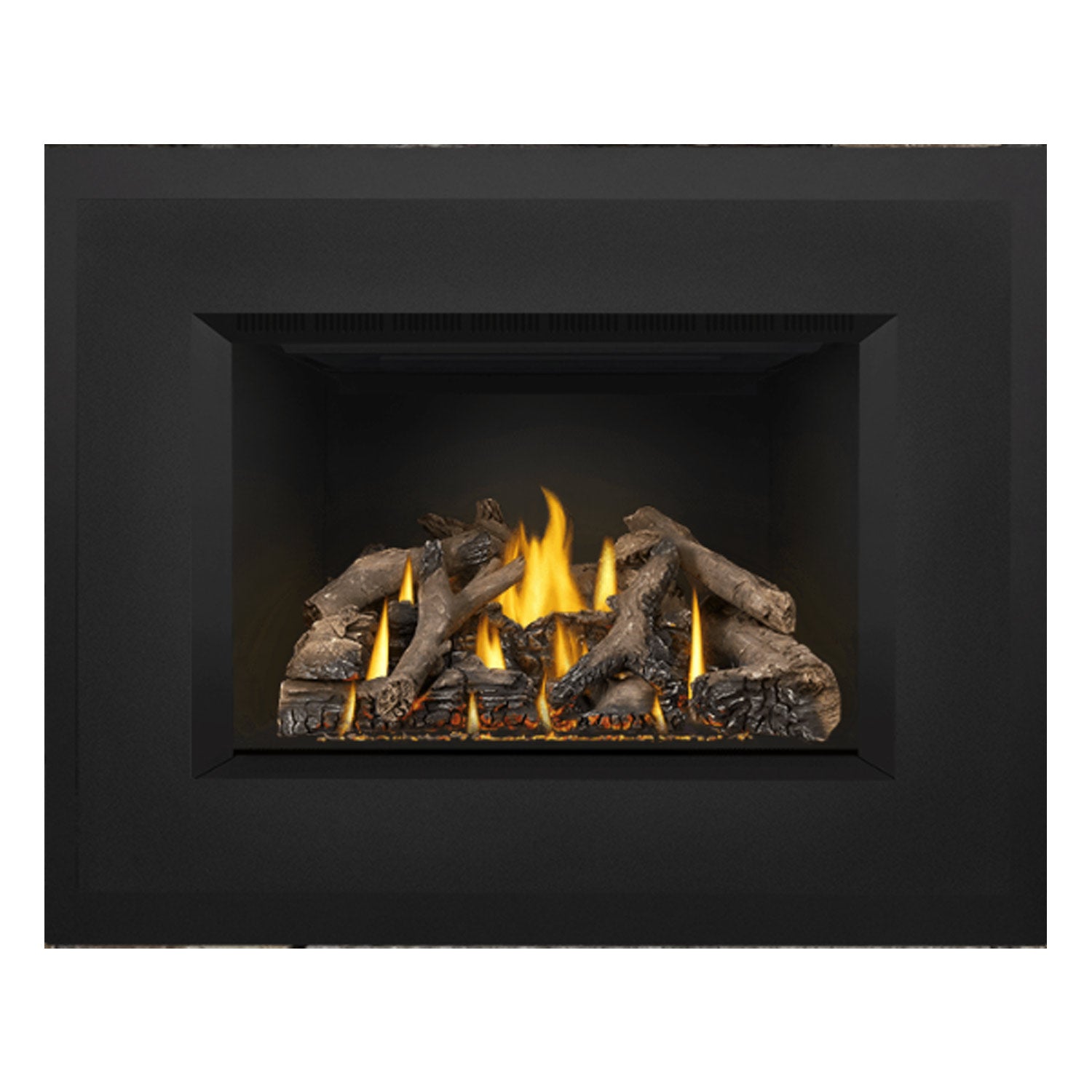 Napoleon GDIX4N-1 Oakville Series Electronic Ignition Direct Vent Gas Fireplace Insert