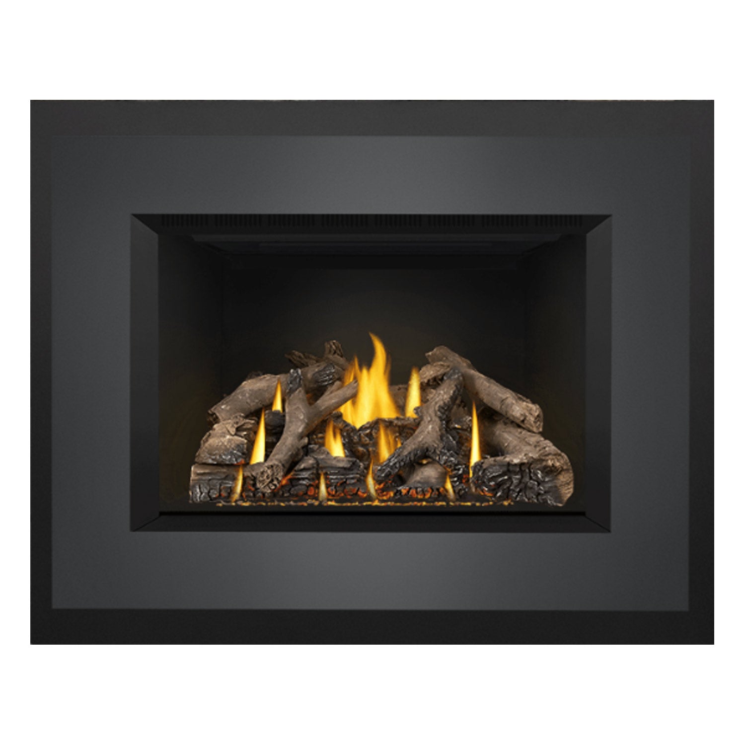 Napoleon GDIX4N-1 Oakville Series Electronic Ignition Direct Vent Gas Fireplace Insert