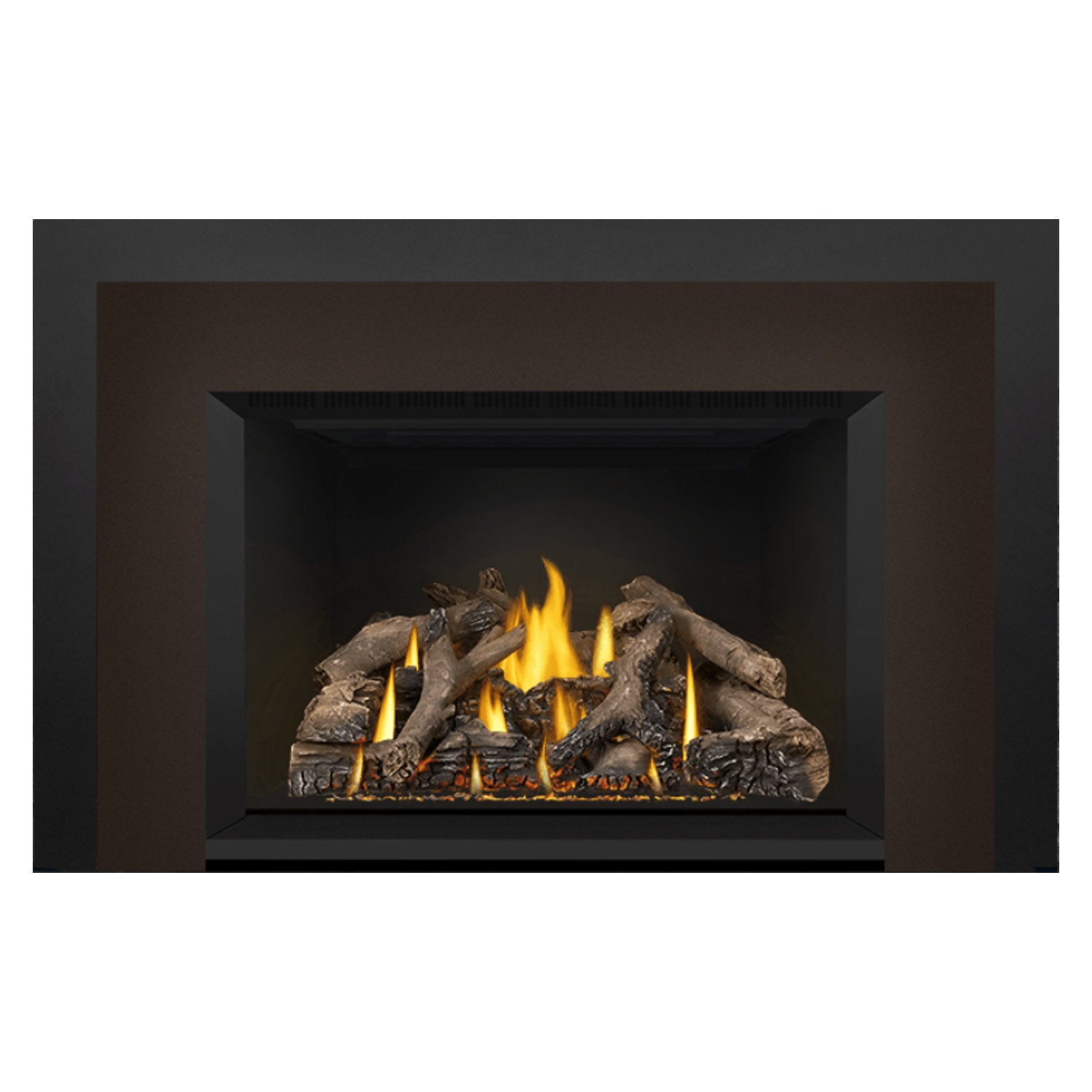 Napoleon GDIX4N-1 Oakville Series Electronic Ignition Direct Vent Gas Fireplace Insert