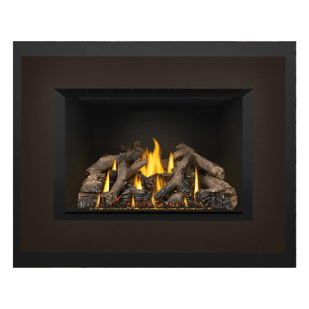 Napoleon GDIX4N-1 Oakville Series Electronic Ignition Direct Vent Gas Fireplace Insert