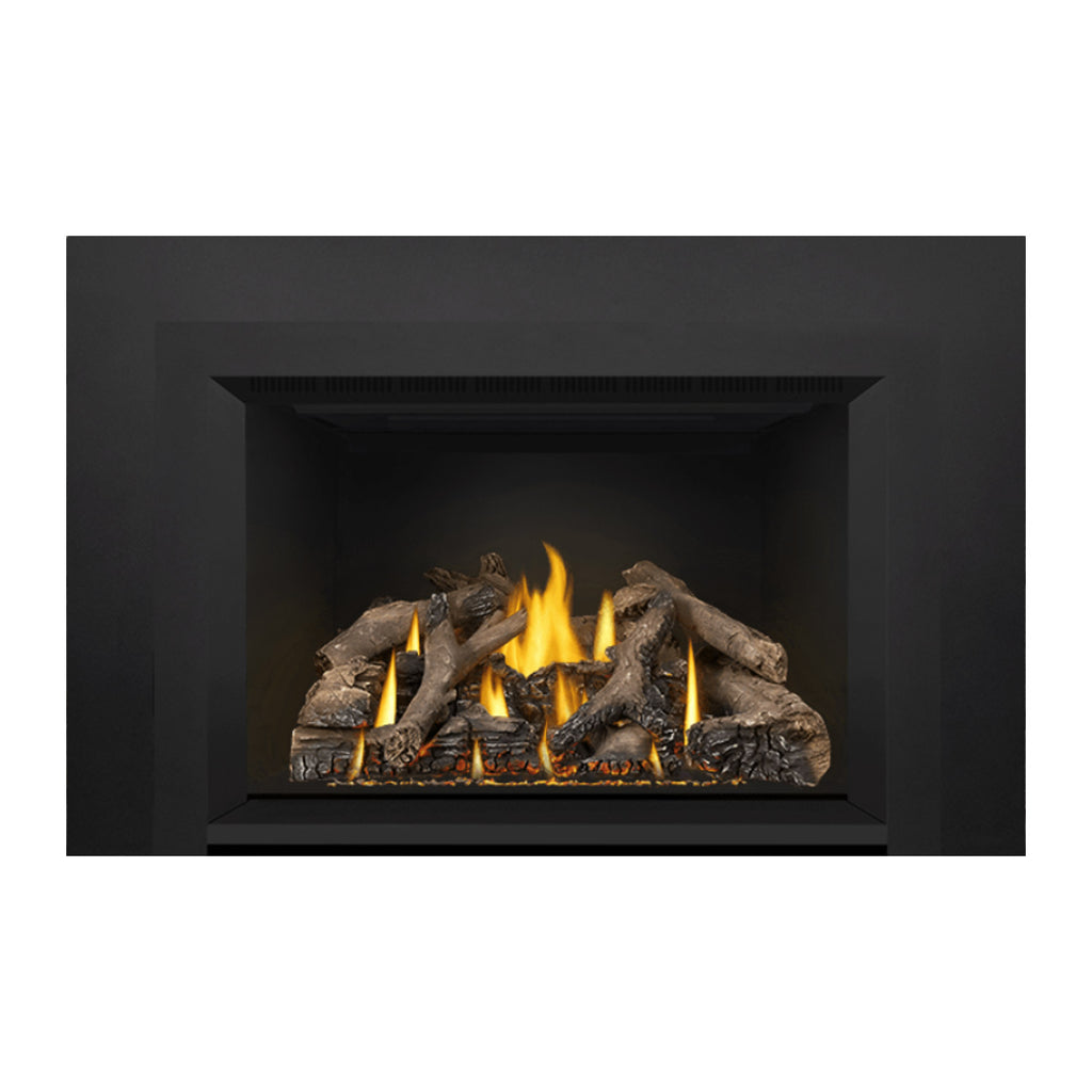Napoleon GDIX4N-1 Oakville Series Electronic Ignition Direct Vent Gas Fireplace Insert