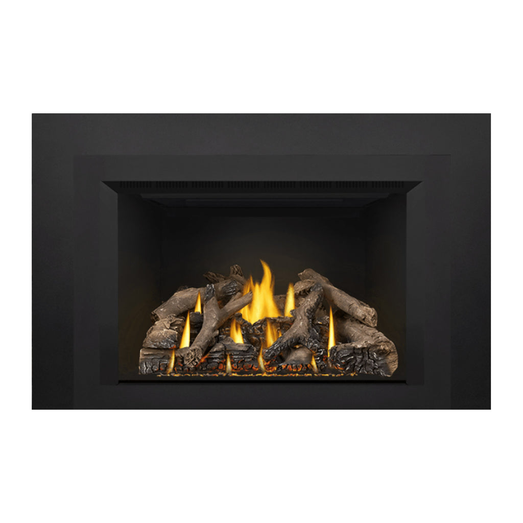 Napoleon GDIX4N-1 Oakville Series Electronic Ignition Direct Vent Gas Fireplace Insert