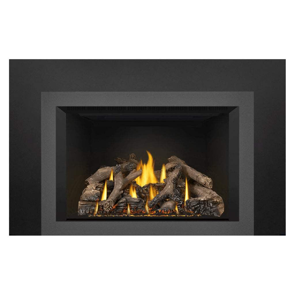 Napoleon GDIX4N-1 Oakville Series Electronic Ignition Direct Vent Gas Fireplace Insert
