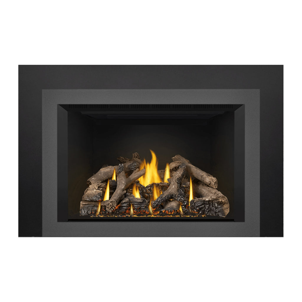 Napoleon GDIX4N-1 Oakville Series Electronic Ignition Direct Vent Gas Fireplace Insert