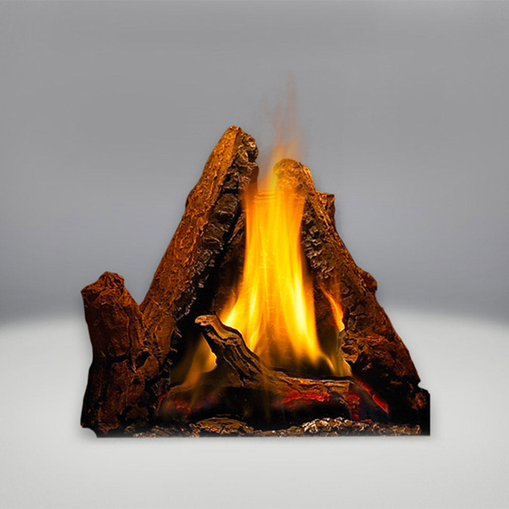 Napoleon Castlemore Direct Vent Cast Iron Gas Stove