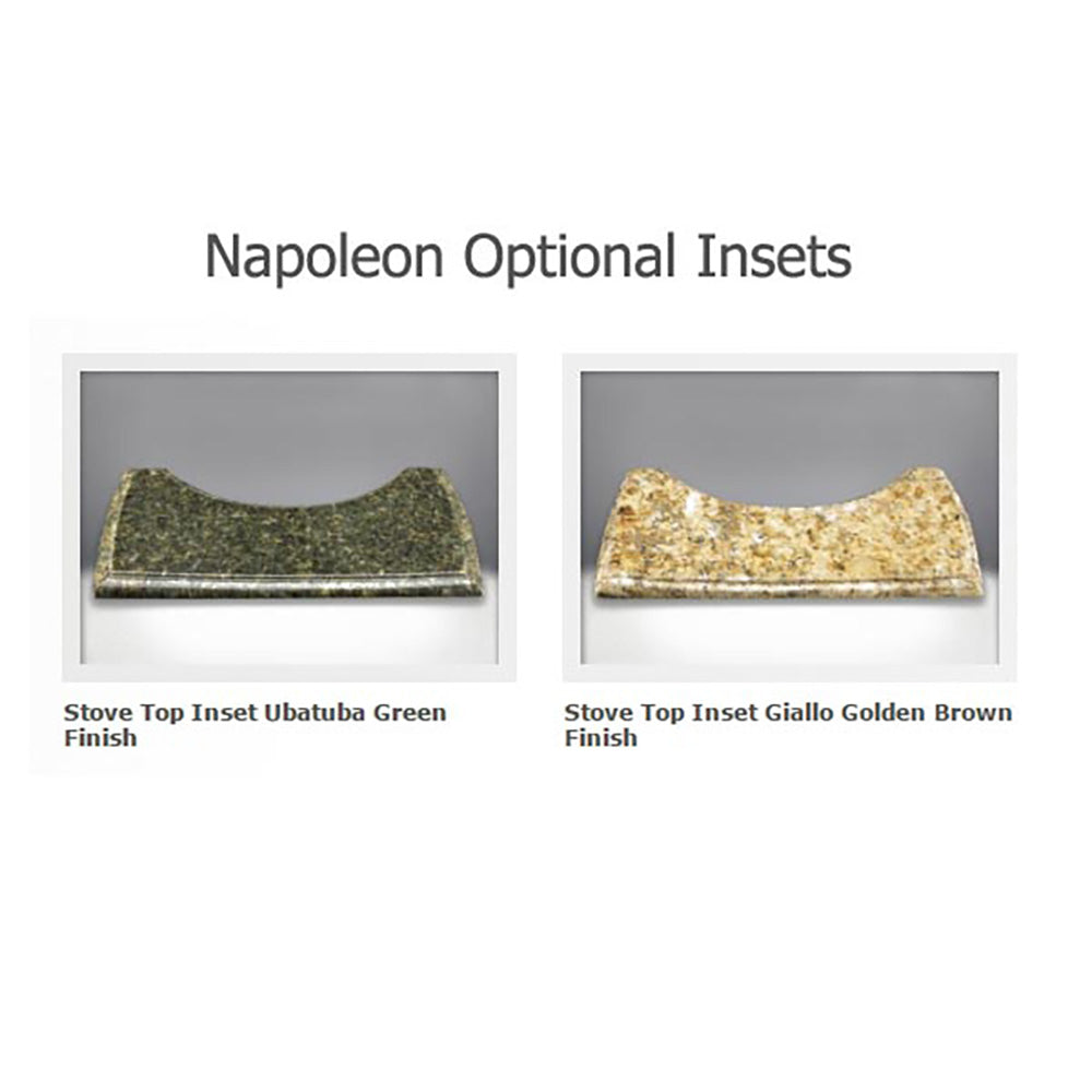 Napoleon Castlemore Direct Vent Cast Iron Gas Stove