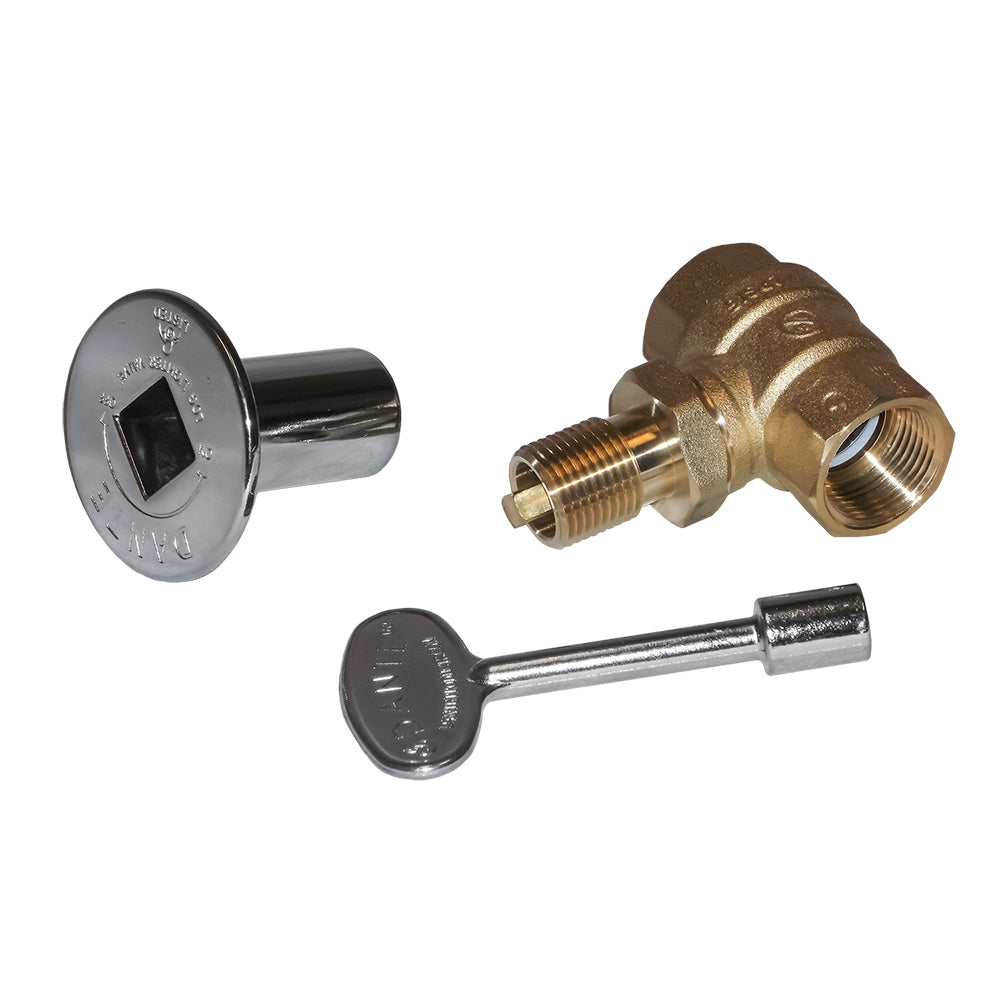 Gas fire pit shut-off valve kit with brass fitting, chrome cap and hex key