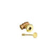 Gas fire pit shut off valve kit with gold-tone valve and round control cap key