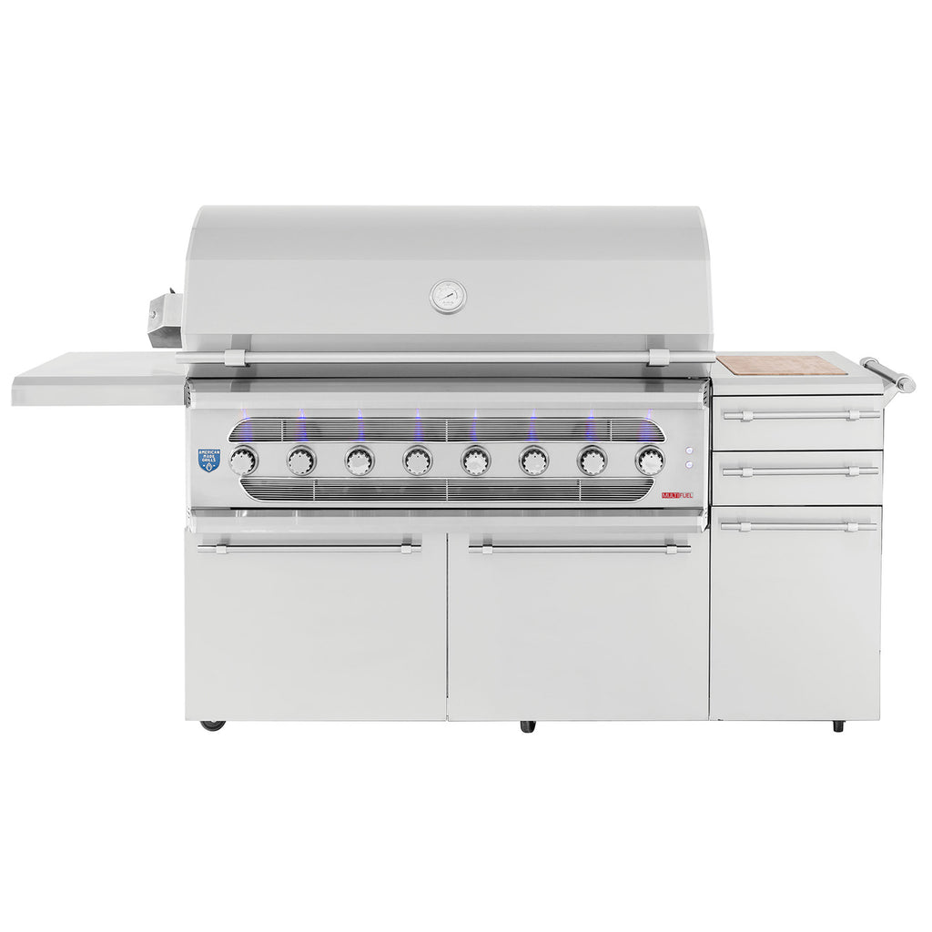 Dual fuel grill on cart with stainless hood, front control knobs, and side shelf.