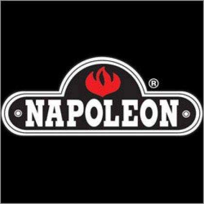 Napoleon wall terminal kit logo with flame emblem