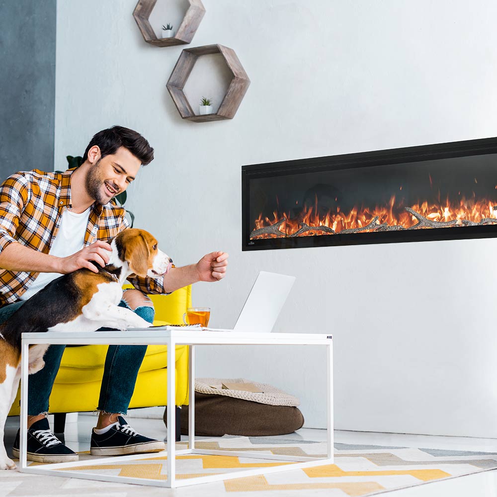 Napoleon Entice Series Electric Fireplace