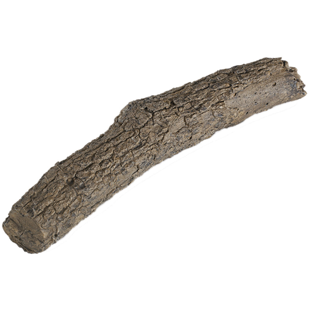 Real Fyre oak branch, dark brown with textured bark, 21-inch decorative piece