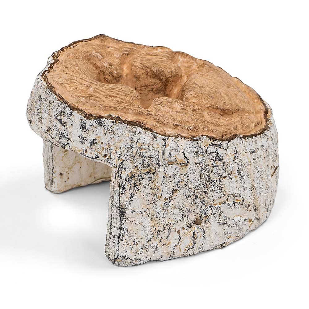 Decorative birch log cover with hollow cutout, weathered grey exterior and charred brown top