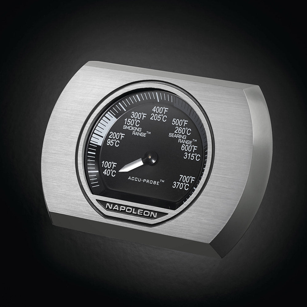 Gas grill temperature gauge dial with degree markings