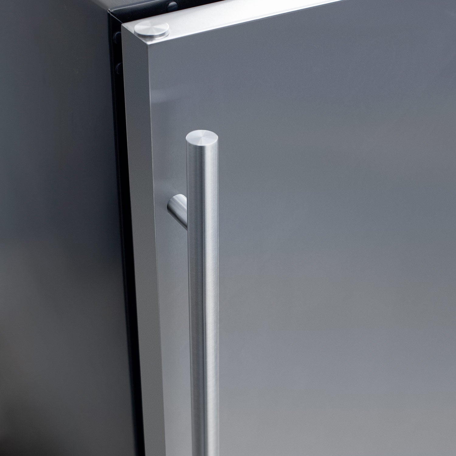 Refrigerator door with stainless finish and vertical recessed handle
