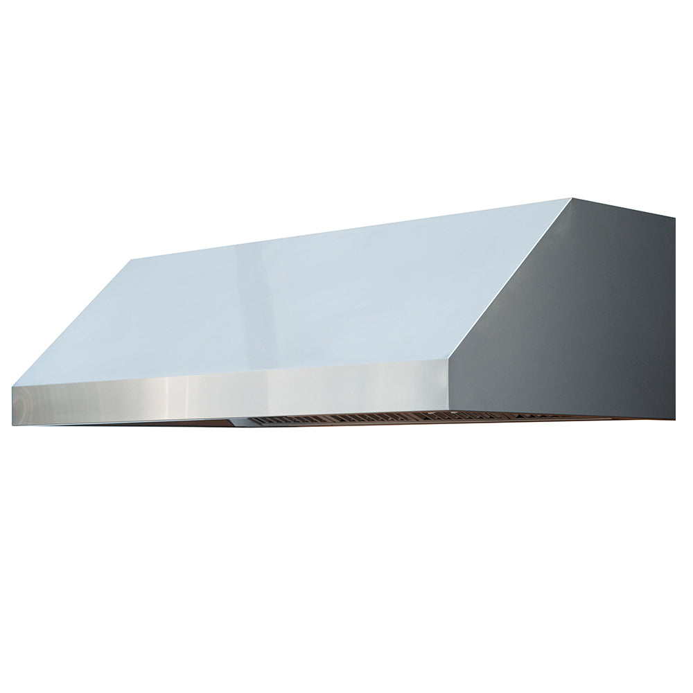 Outdoor vented hood with blower, stainless steel top and dark side panel
