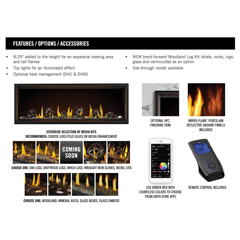 Gas fireplace features panel showing media kit options and remote control app graphics