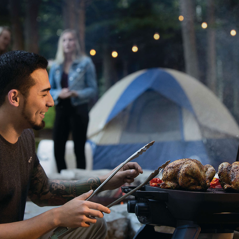 Napoleon TravelQ Portable Tabletop Gas Grill, Propane