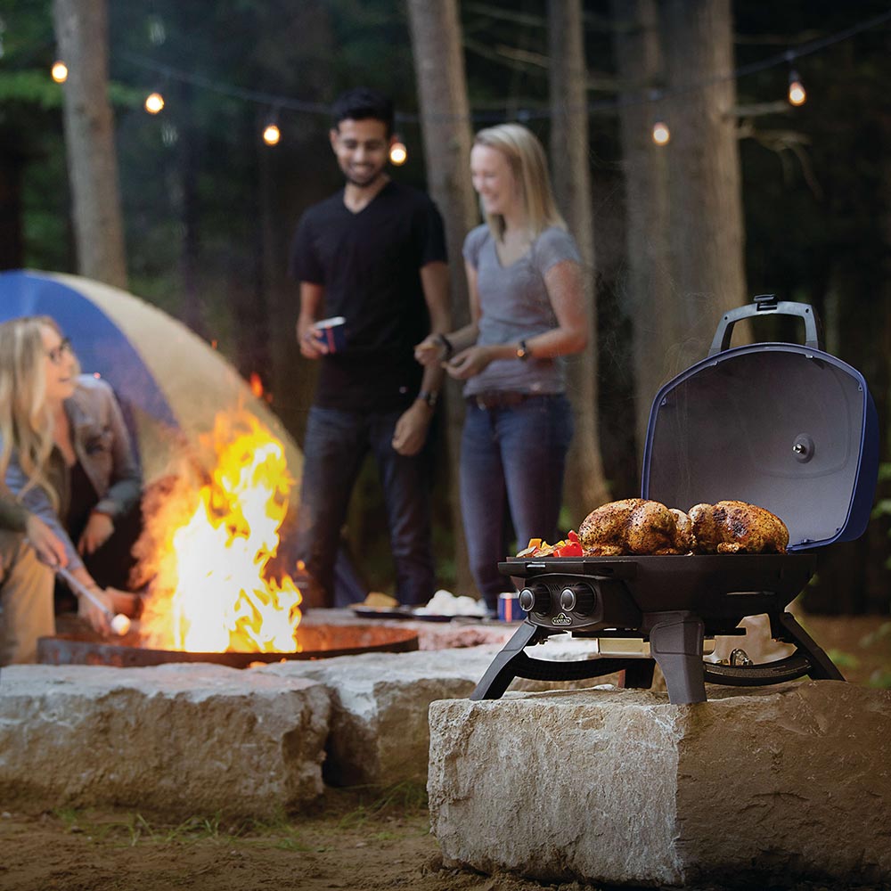 Napoleon TravelQ Portable Tabletop Gas Grill, Propane