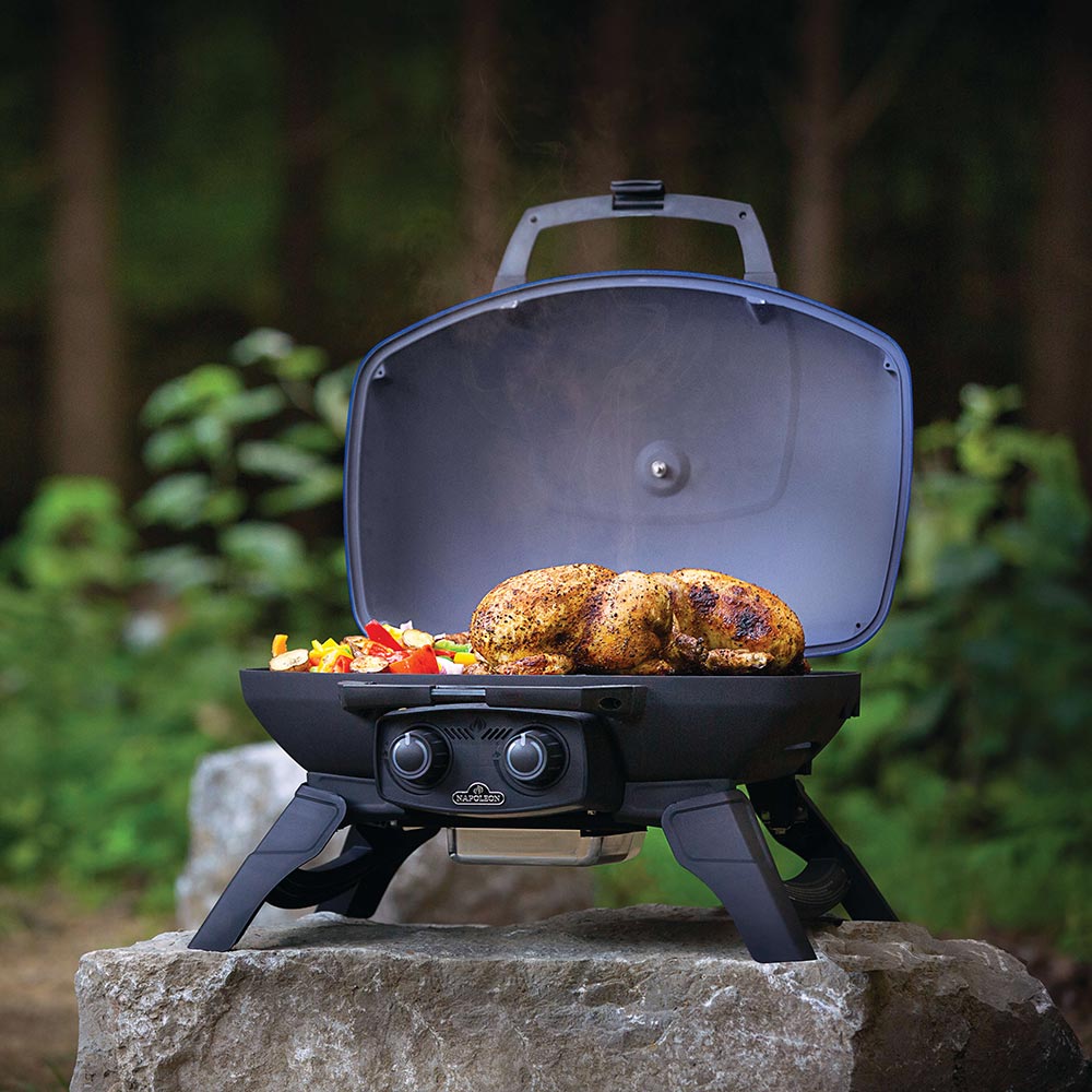 Napoleon TravelQ Portable Tabletop Gas Grill, Propane