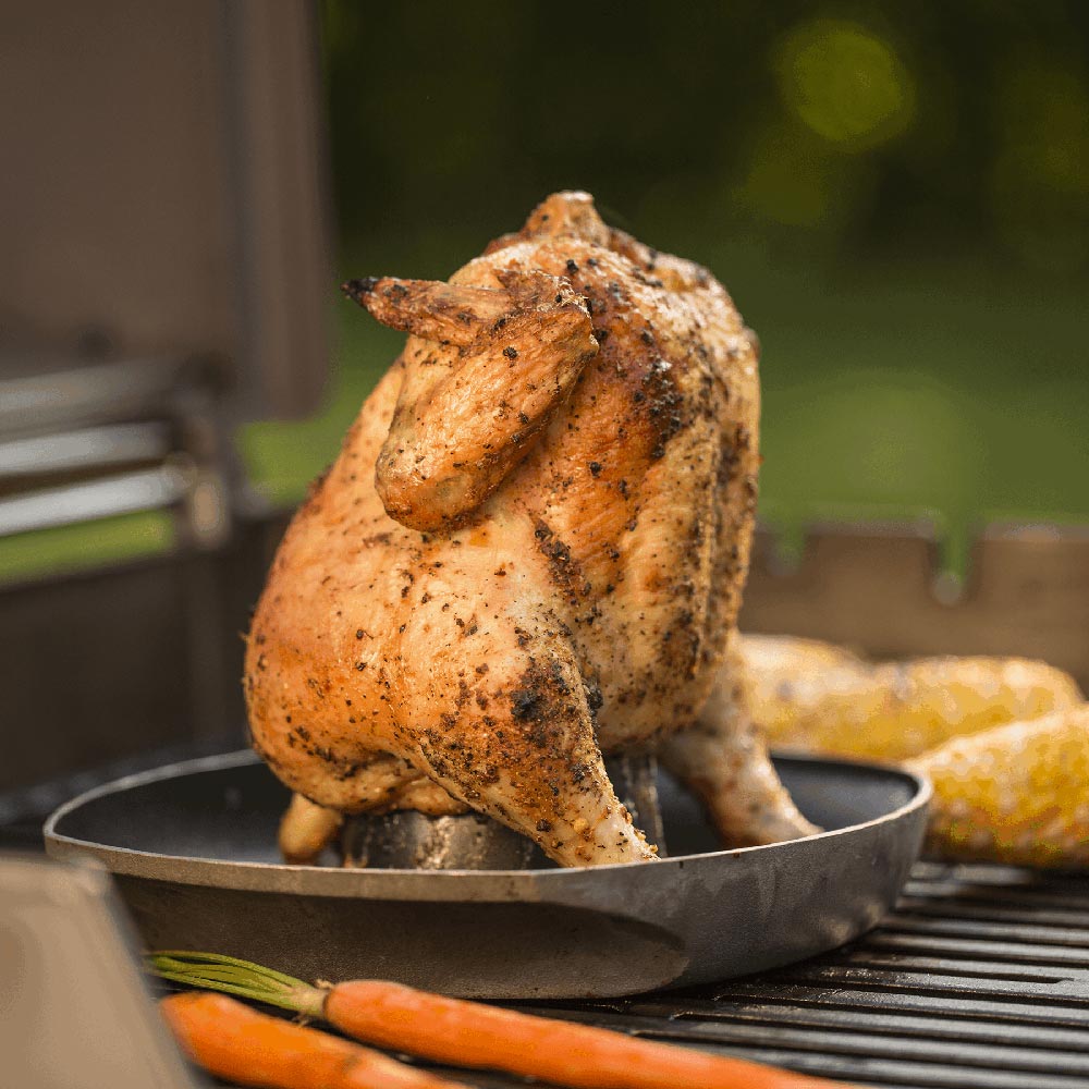 Poultry roaster holding a seasoned whole chicken on an elevated rack