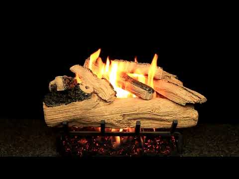 Hargrove Western Pine See-Through Shallow Vented Gas Log Set with ANSI Certified Burner (HGWPSSS-SSB-ANSI)