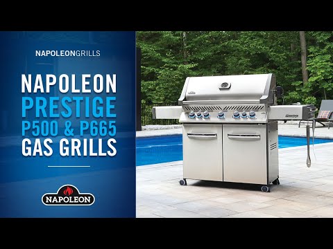 Napoleon PRO500RSIBSS-3 Prestige PRO 500 Gas Grill On Cart with Rotisserie and Side Burner, 28-Inches