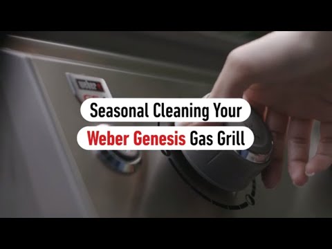 Weber Exterior Grill Cleaner, 16oz