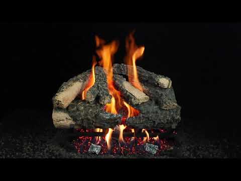Hargrove Woodland Timbers See-Through Shallow Vented Gas Log Set with System 4 Burner, Propane Specialized (HGWTSSS-S4B)